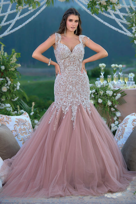 Pale Pink Embellished Fish-Cut Gown